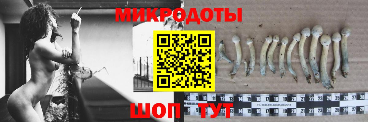 Псилоцибиновые грибы мухоморы  Псилоцибиновые грибы GOLDEN TEACHER  Джанкой  Вход с VPN 